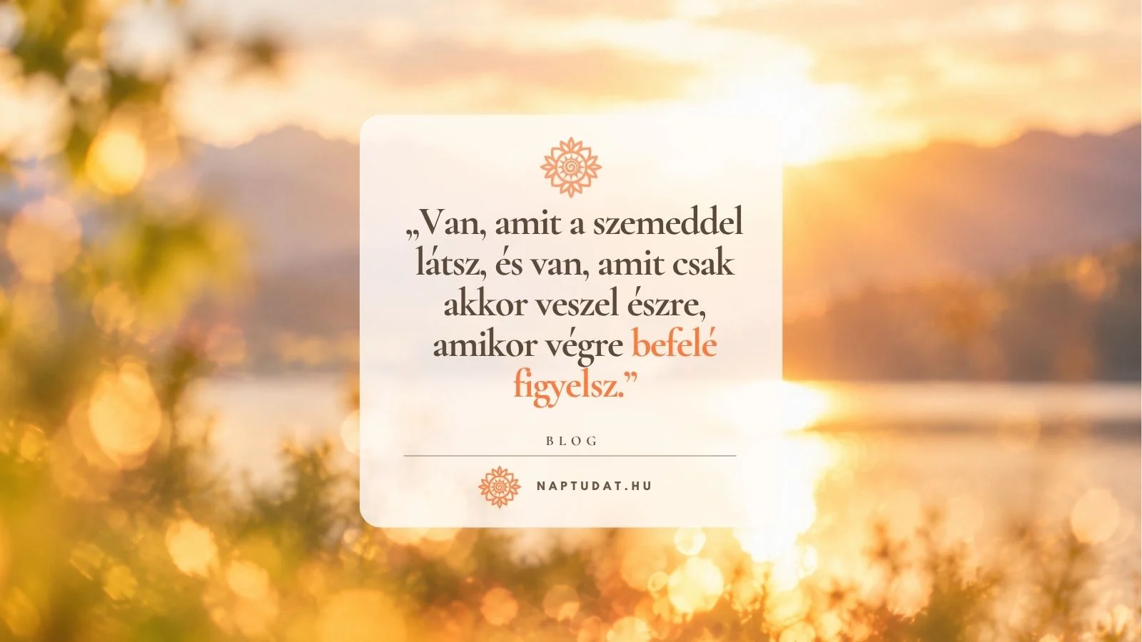 A szerv, ami akkor is lát, amikor a szemed csukva van