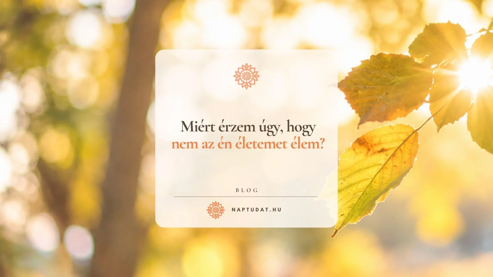 Miért érzem úgy, hogy nem az én életemet élem?